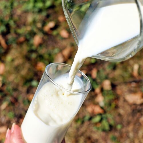 Mleko ekologiczne każdego dnia